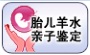 胎儿DNA亲子鉴定