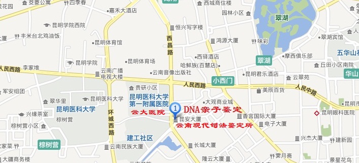 亲子鉴定